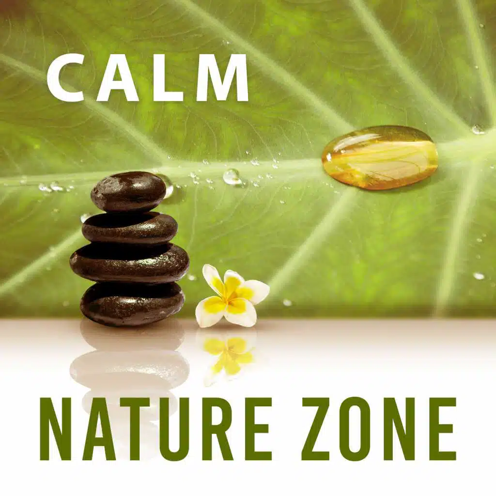 Calm Nature Zone – Music for Spa Lounge, Beauty Salon, Mind, Body & Soul