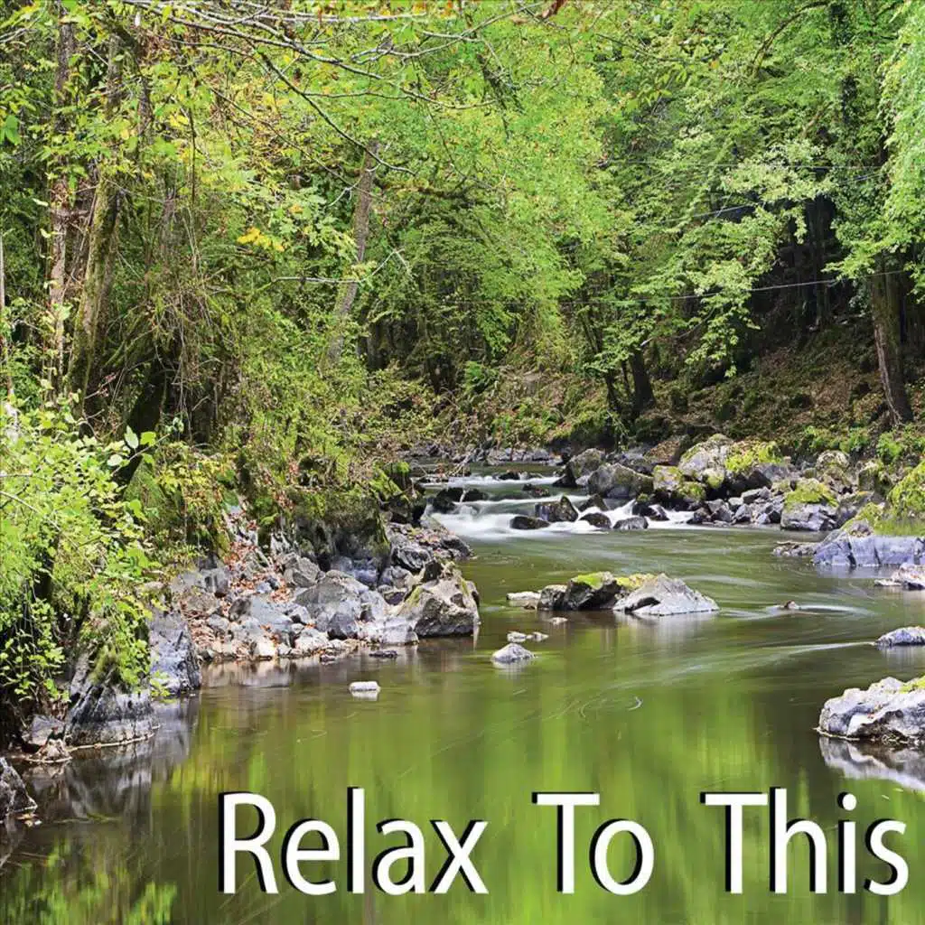 Relax To This