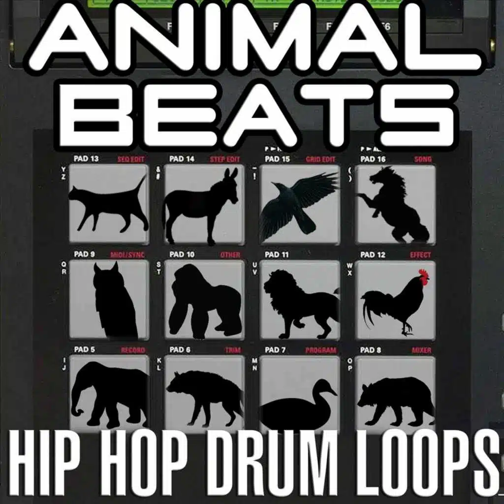 Cool Hip Hop Wolf