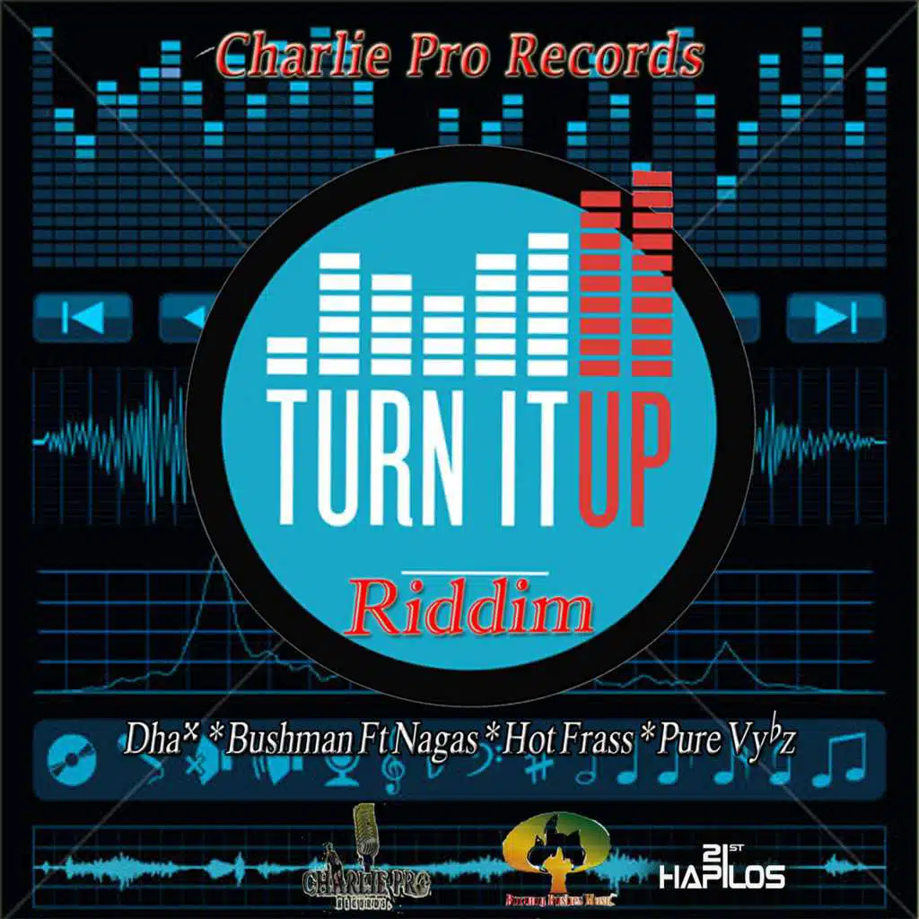 Turn It up Riddim