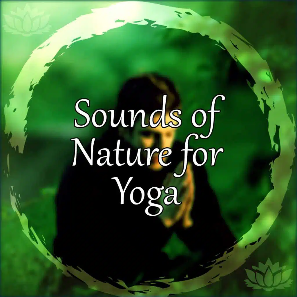 Sounds of Nature for Yoga – The Best New Age Music to Practise Yoga, Pilates, Meditation, Asian Zen, Rest, Oriental Flute, Meditation Zen, Well Being