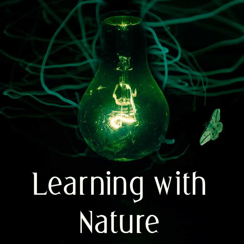 Learning with Nature