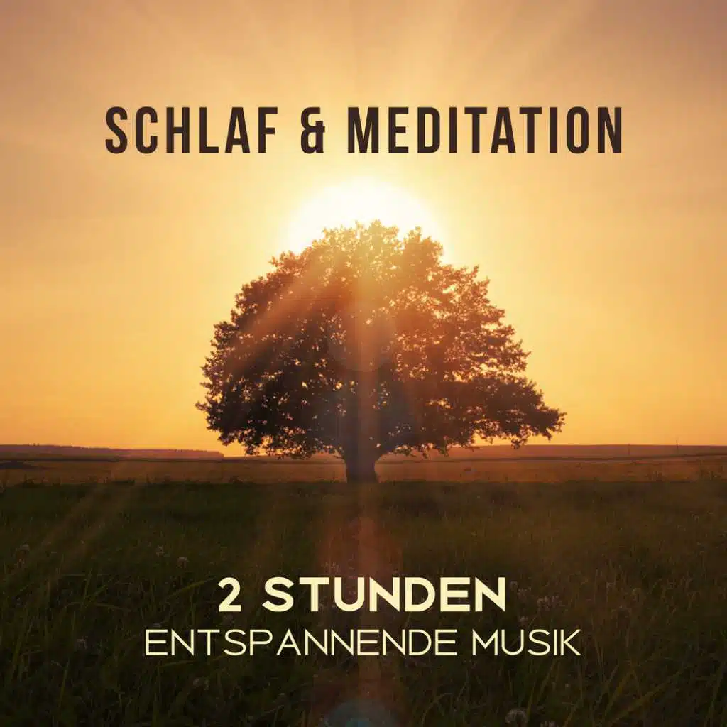 Schlaf & Meditation