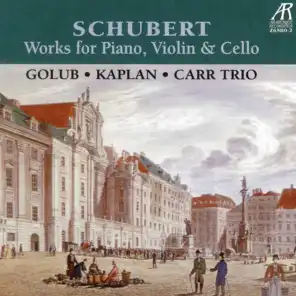 Trio in E-flat Major, D. 929, Op. 100: I. Allegro