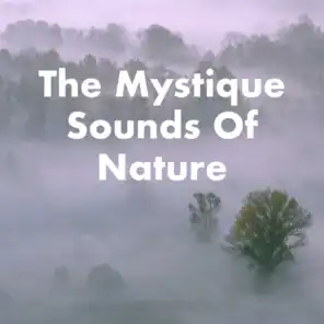 The Mystique Sounds Of Nature