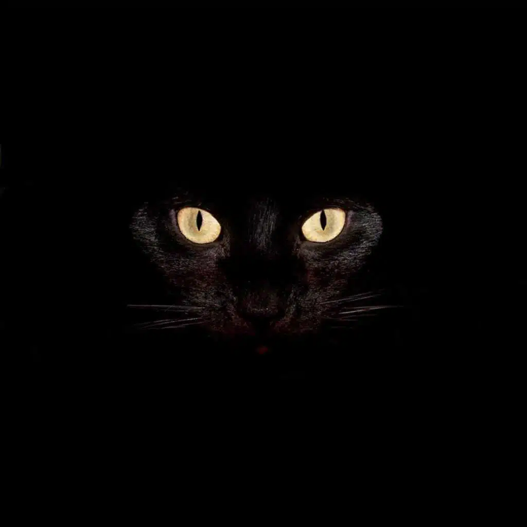 Boom Sahara (feat. Voyage Deejays & Anna Sahara)