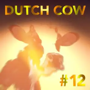 Dutch Cow #12