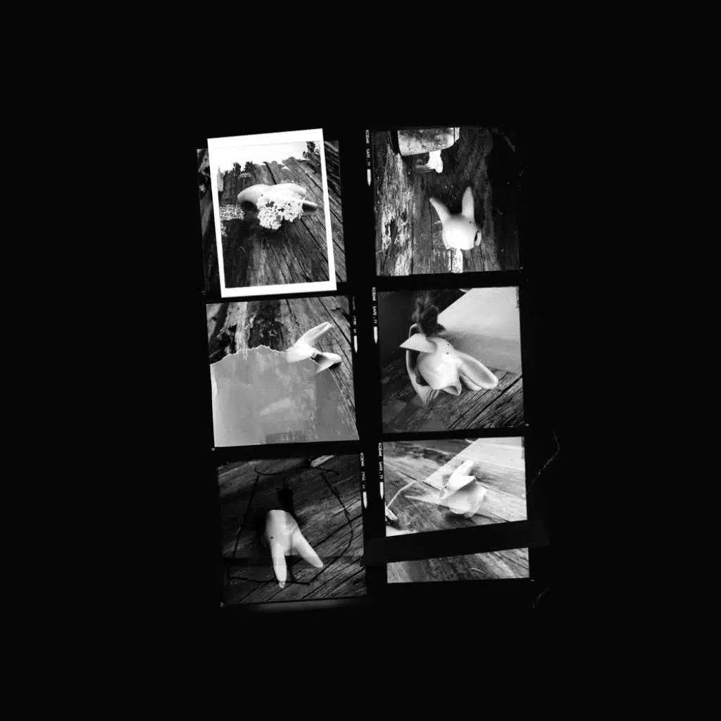 Unveiling of Reality