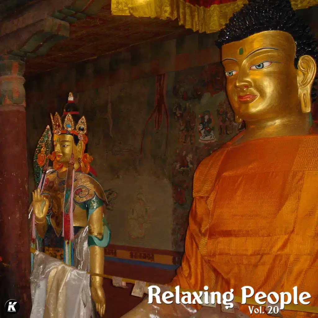RELAXING PEOPLE VOL 20