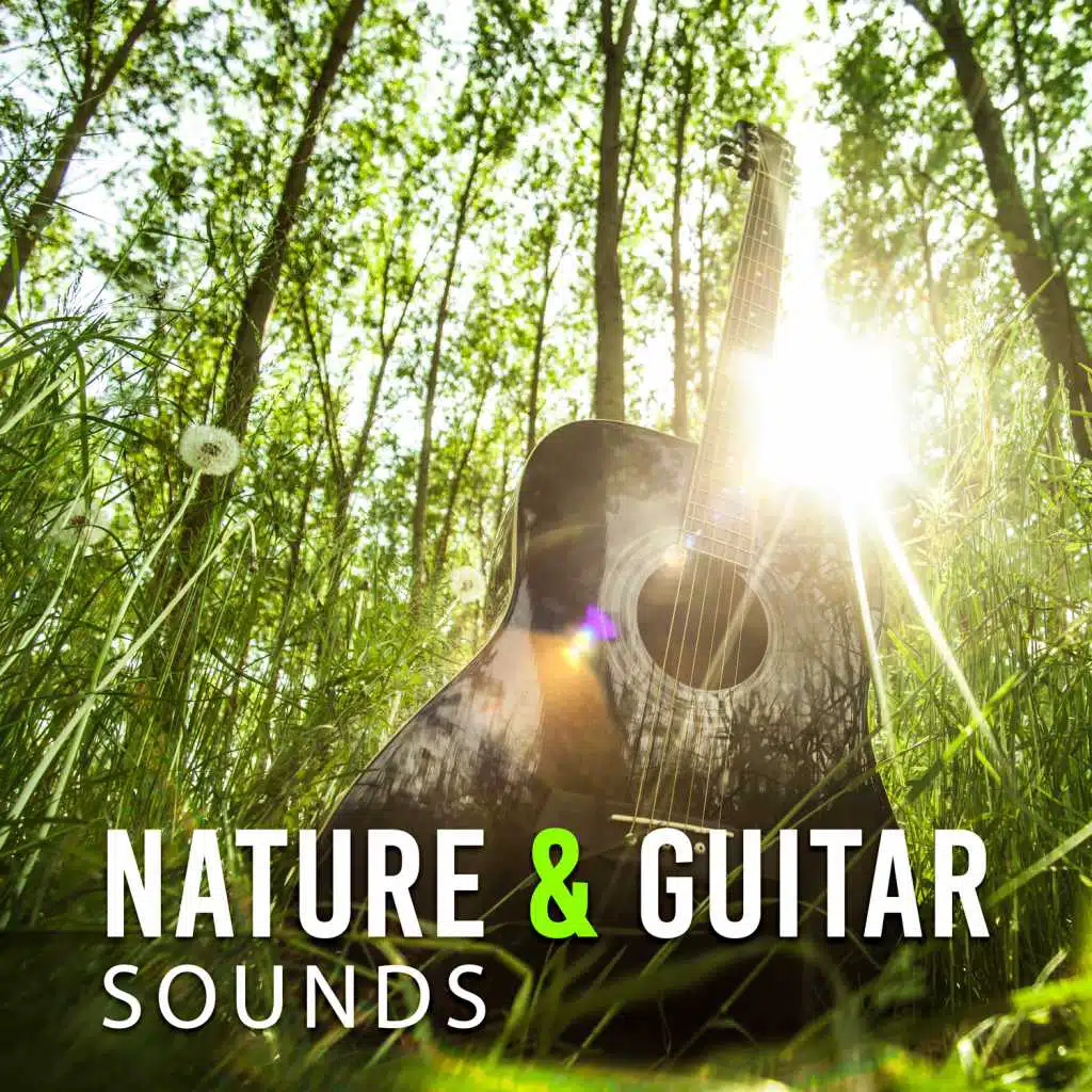 Nature & Guitar Sounds – Beautiful Sounds to Relax, Rest a Bit, Time to Rest, Inner Journey