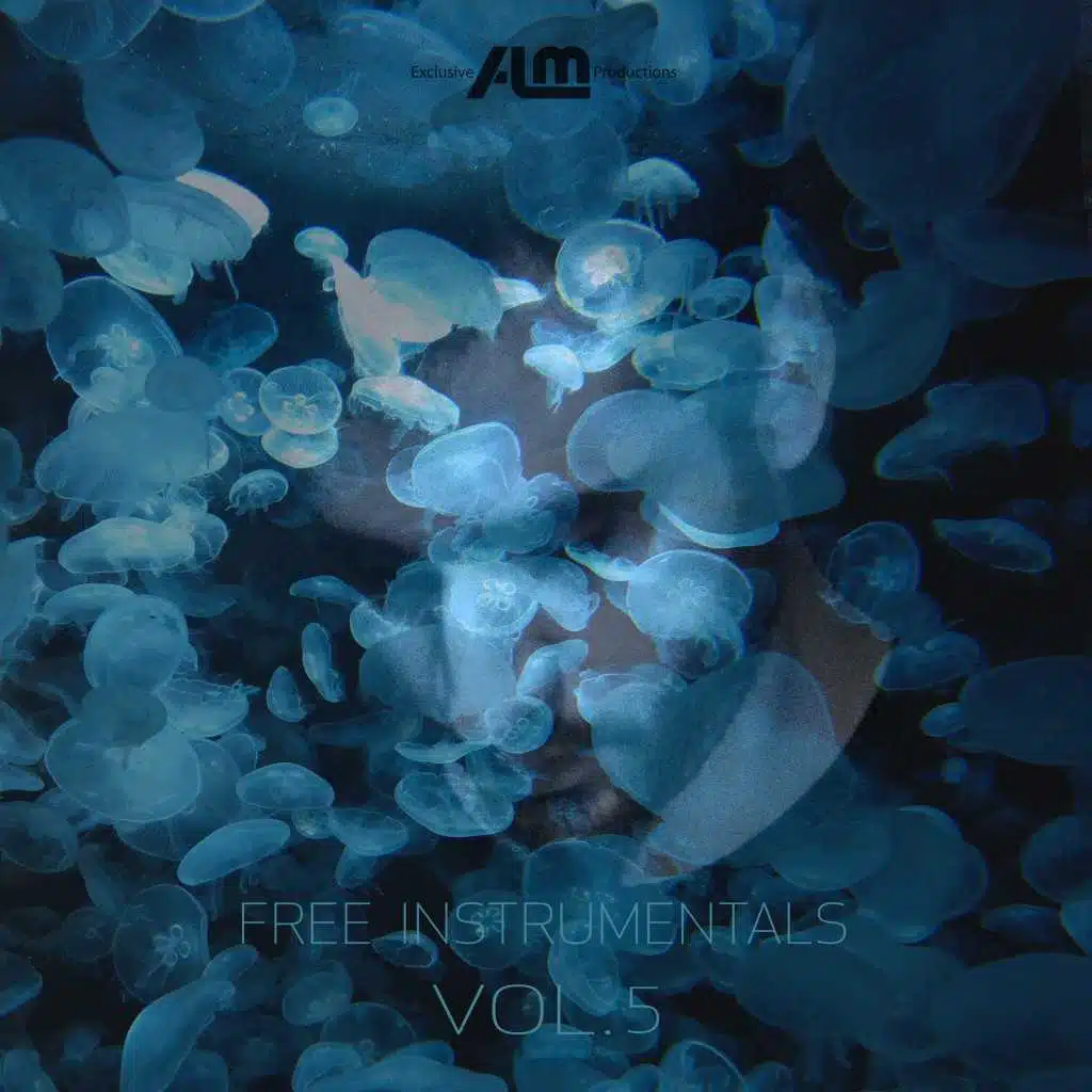 Free Instrumentals, Vol. 5