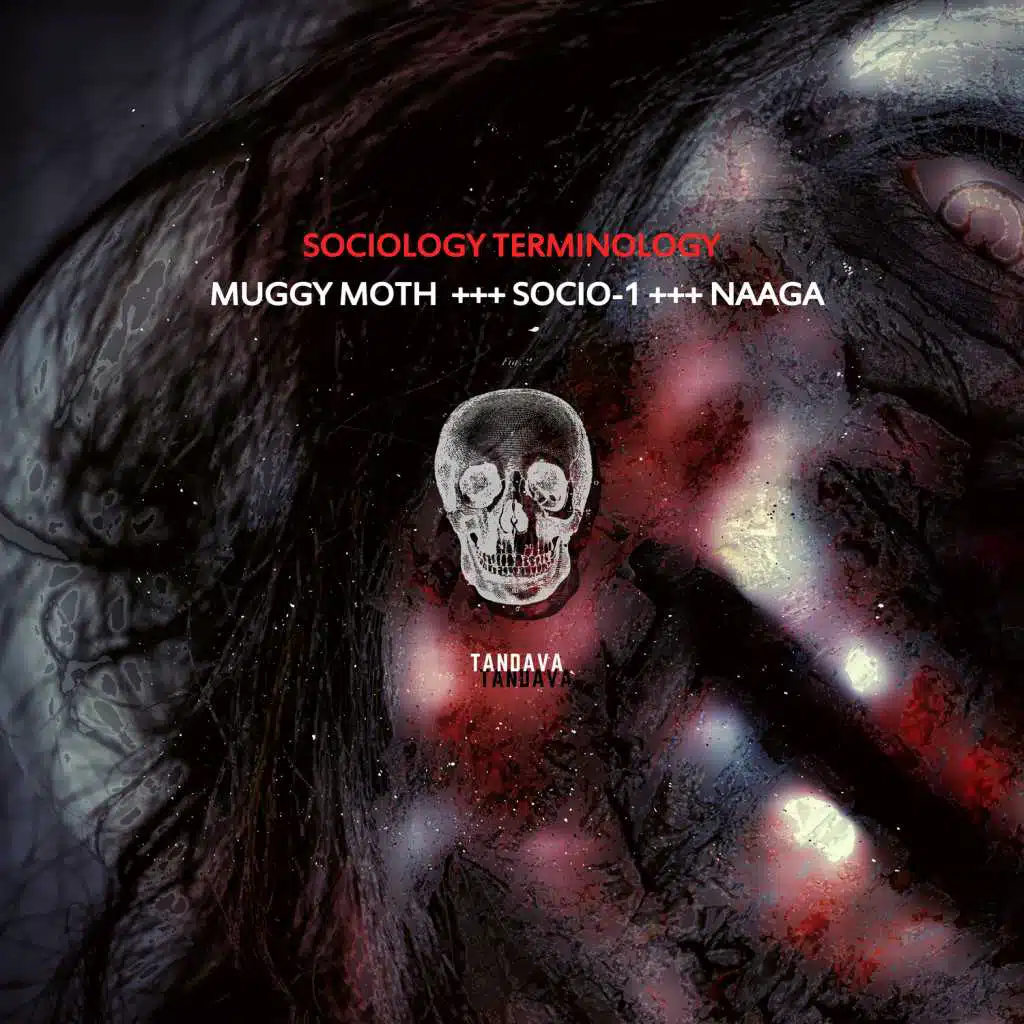 NAaGa, Socio-1 & Muggy Moth