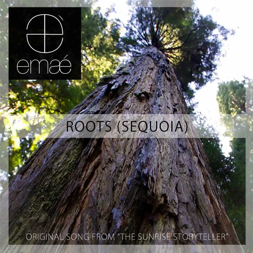 Roots (Sequoia) [From "The Sunrise Storyteller"]