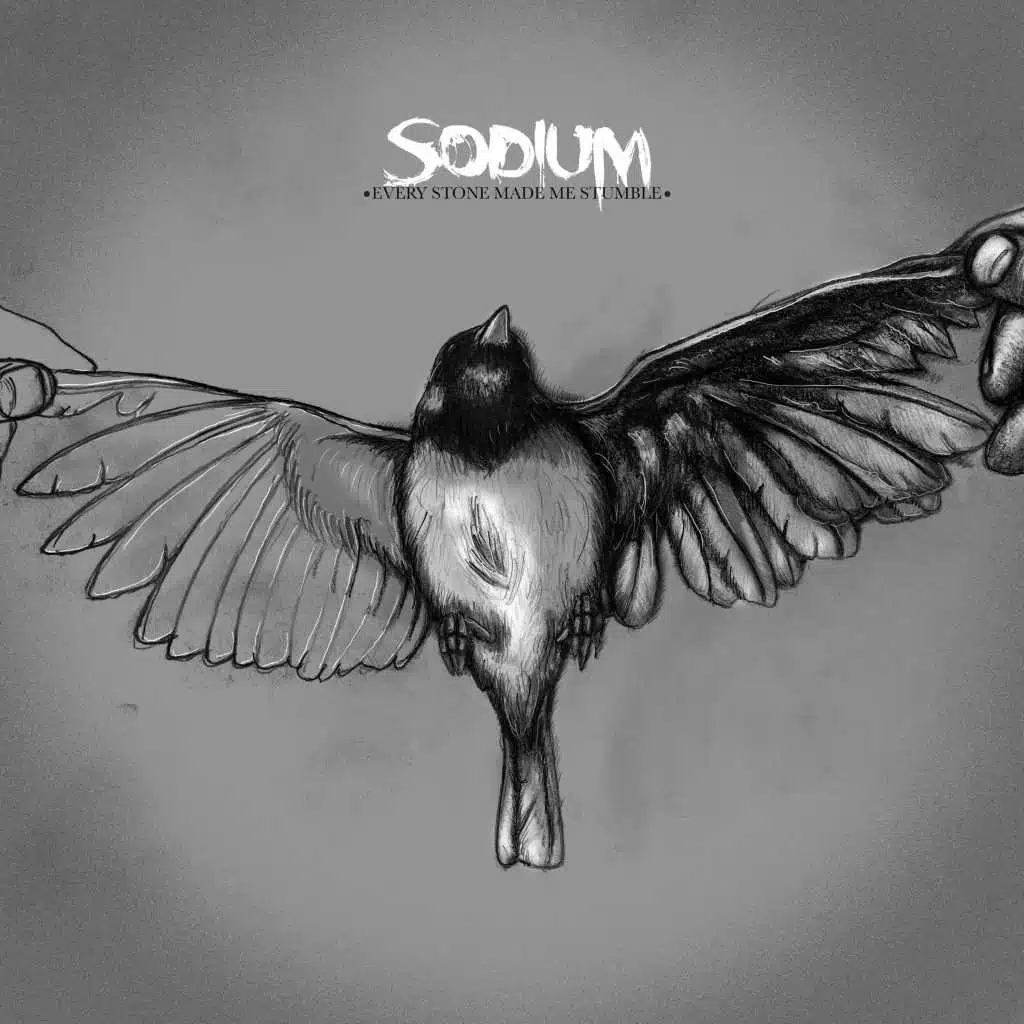 Every Stone Made Me Stumble