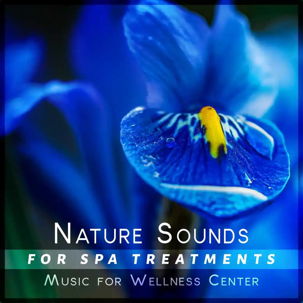 Healing Through Sound and Touch