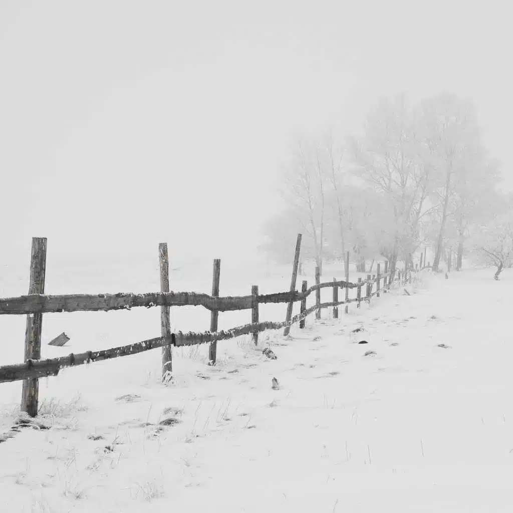 I'll Be Home for Christmas