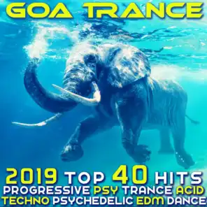 Goa Trance 2019 - Top 40 Hits Best of Progressive PsyTrance Acid Techno Psychedelic EDM Dance