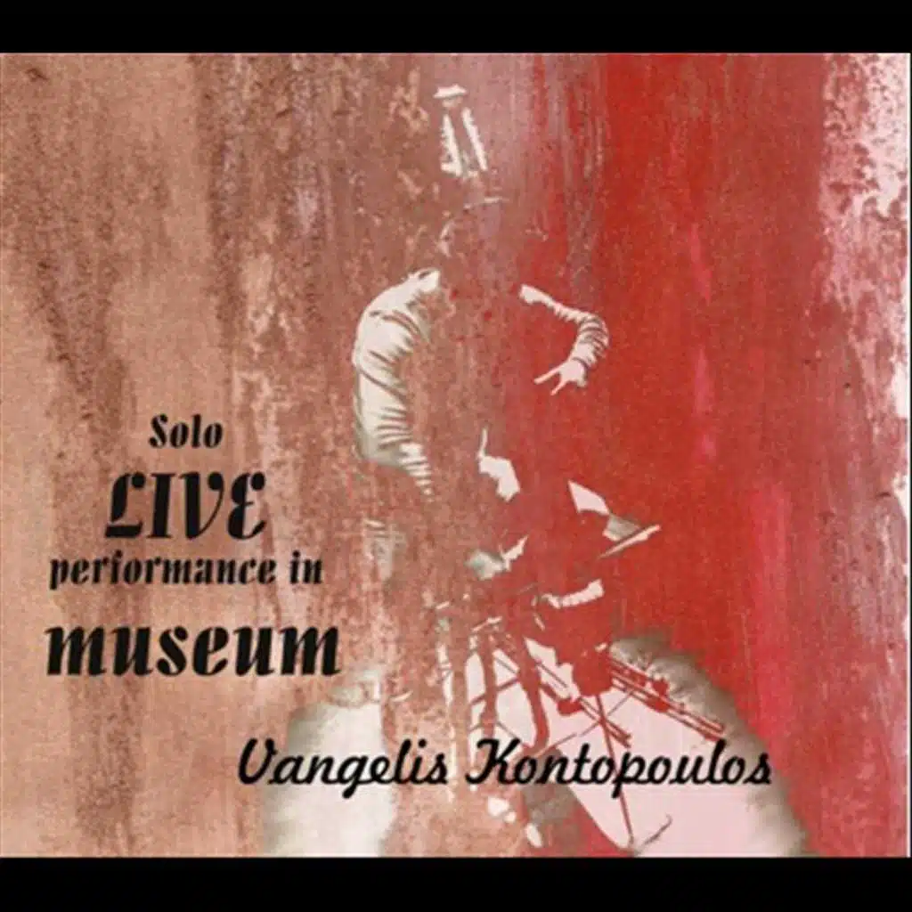 Solo Live Performance in Museum