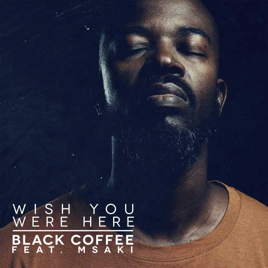Wish You Were Here (feat. Msaki)