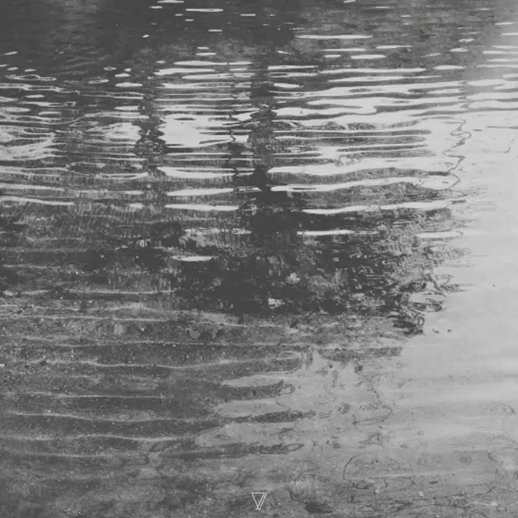 Variant V (Simak Delitvin Remix)