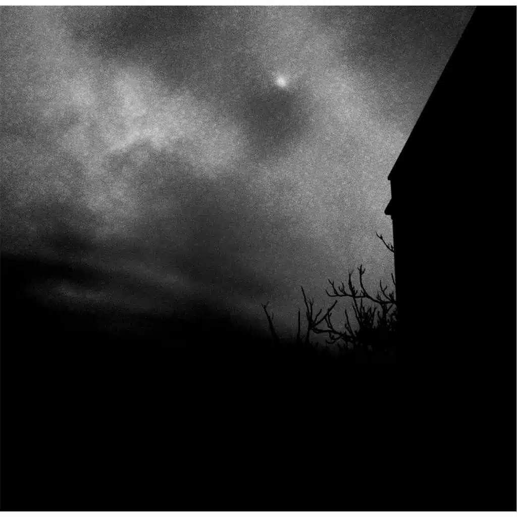 Vapour Night