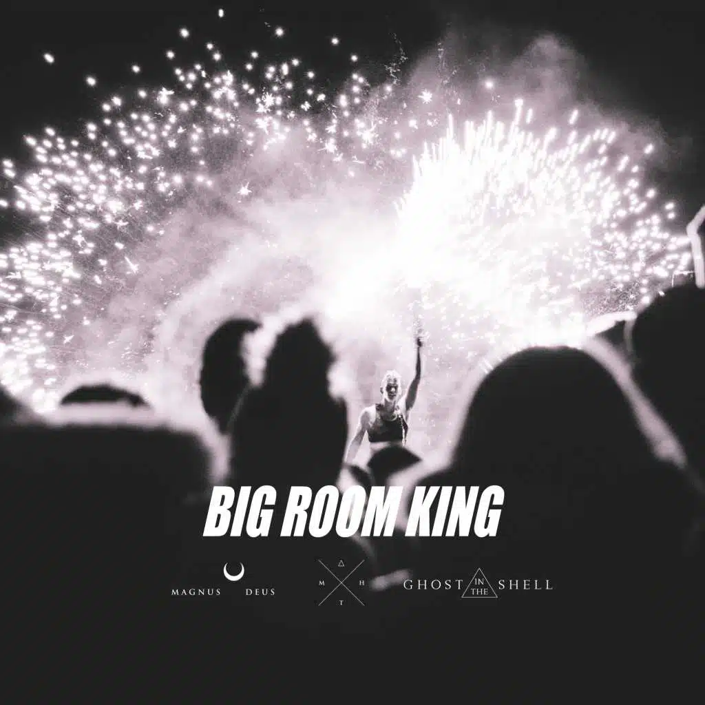 Big Room King