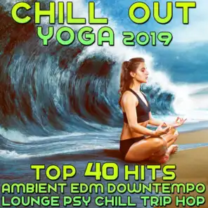 Chill Out 2019 Top 40 Hits - Lounge Ambient Down Tempo PsyChill Trip Hop Yoga Dub
