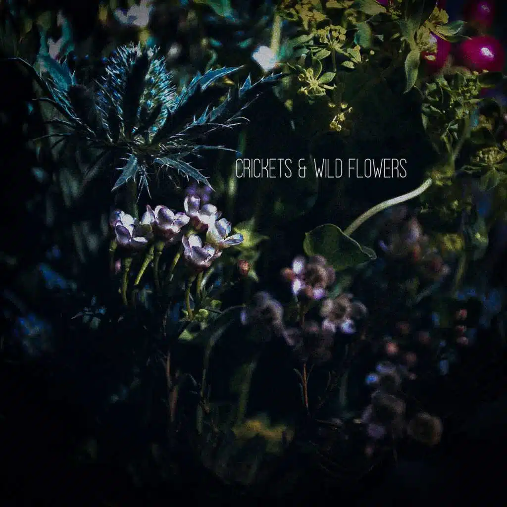 Crickets & Wild Flowers