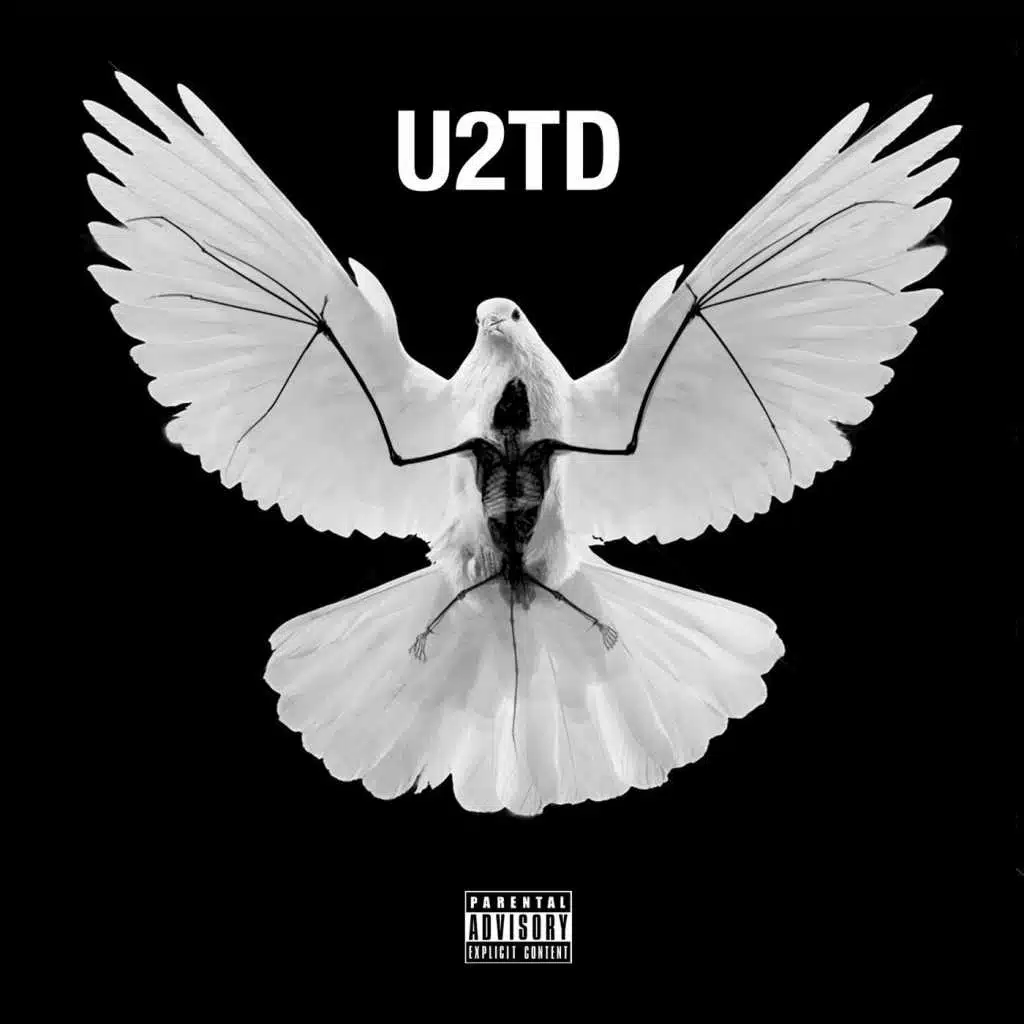 Used to the Darkness