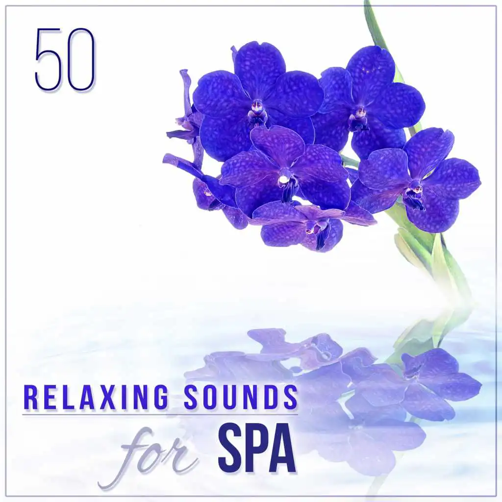 50 Relaxing Sounds for Spa – Natural Ambiences for Wellness Center, Massage & Reiki, Music Therapy for Deep Sleep