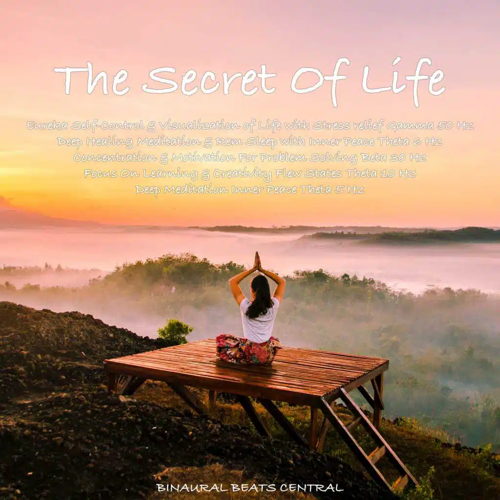 The Secret of Life (feat. Binaural Beats Life, Binaural Beats Home & VR Beats)