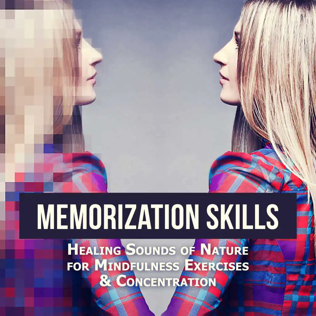 Memorization Skills: Healing Sounds of Nature for Mindfulness Exercises & Concentration, Effective Study, Mind Stimulation with Isochronic Tones