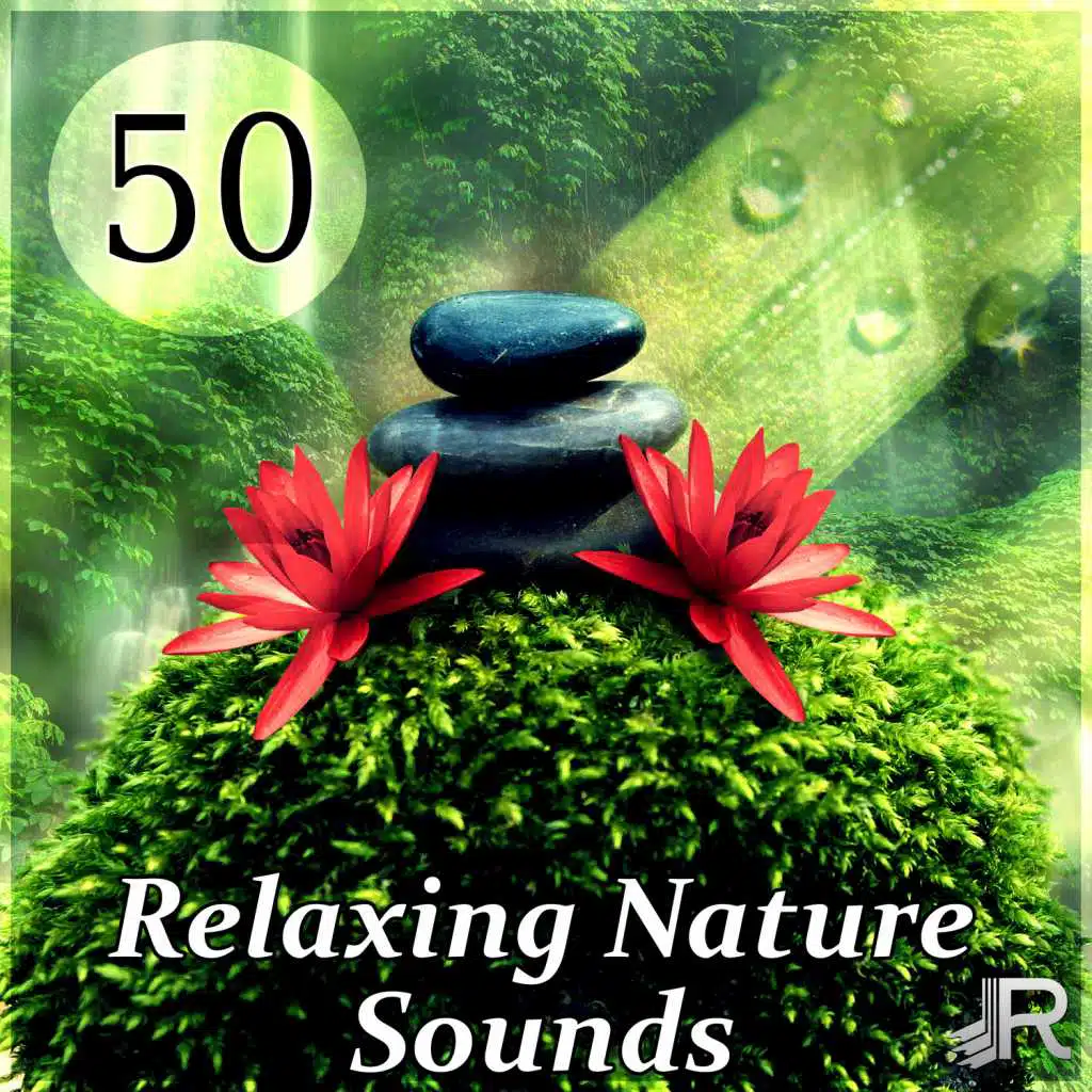 50 Relaxing Nature Sounds: Ultimate Instrumental New Age - Serenity Spa Music Relaxation Meditation, Rest, Reiki & Pure Massage Music