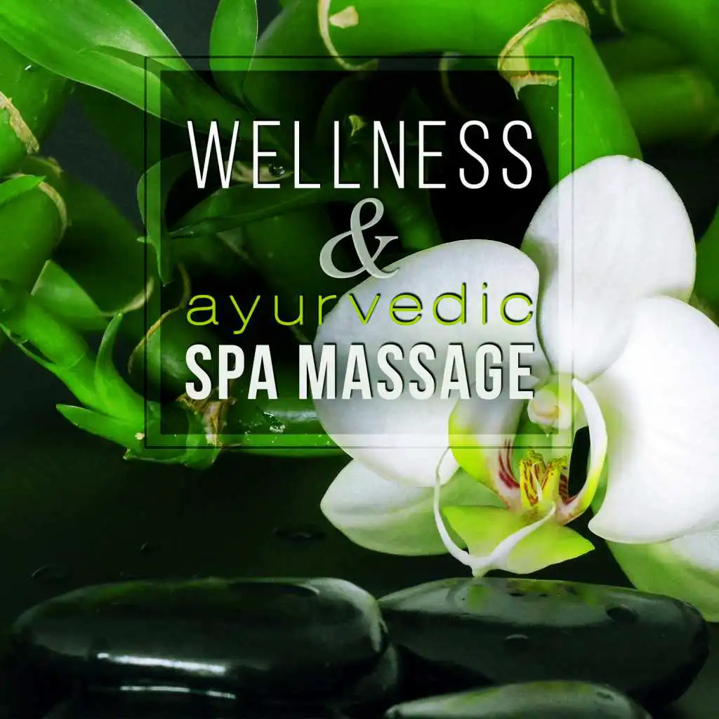 Wellness & Ayurvedic Spa Massage: Reiki Music Therapy, Body and Spirit Harmony, Serenity, Ambient Relaxation Zen Garden