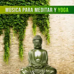 Música para Meditar y Yoga: Sonidos para Relajación y Bienestar, Dormir Profundamente, Ejercicios de Meditación y Pensamiento Positivo