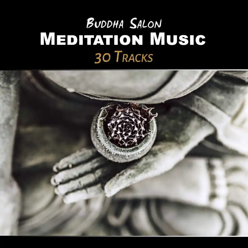 Buddha Salon: Meditation Music - 30 Tracks of Silencing & Relaxing Zen Music, The Best for Yoga, Meditation, Massage and Sleep Therapy