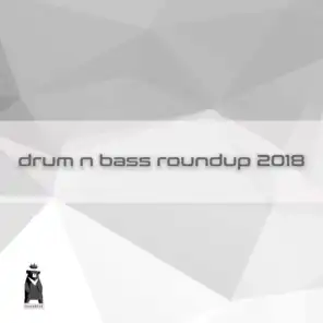 Drum n Bass Roundup 2018