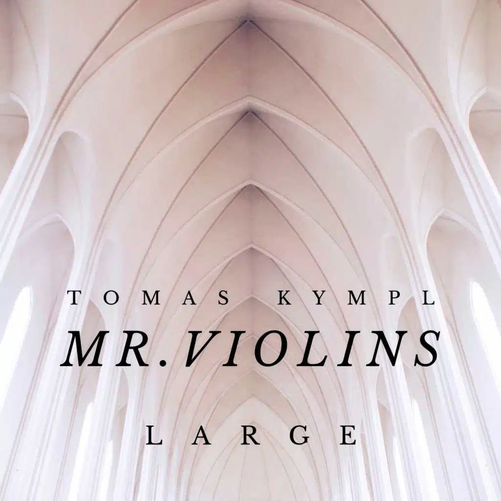 Mr. Violins (Large)