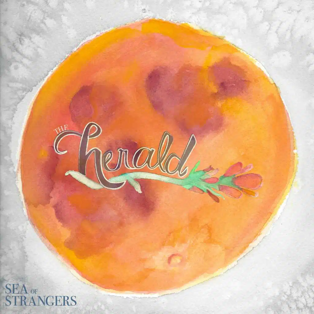 Sea of Strangers