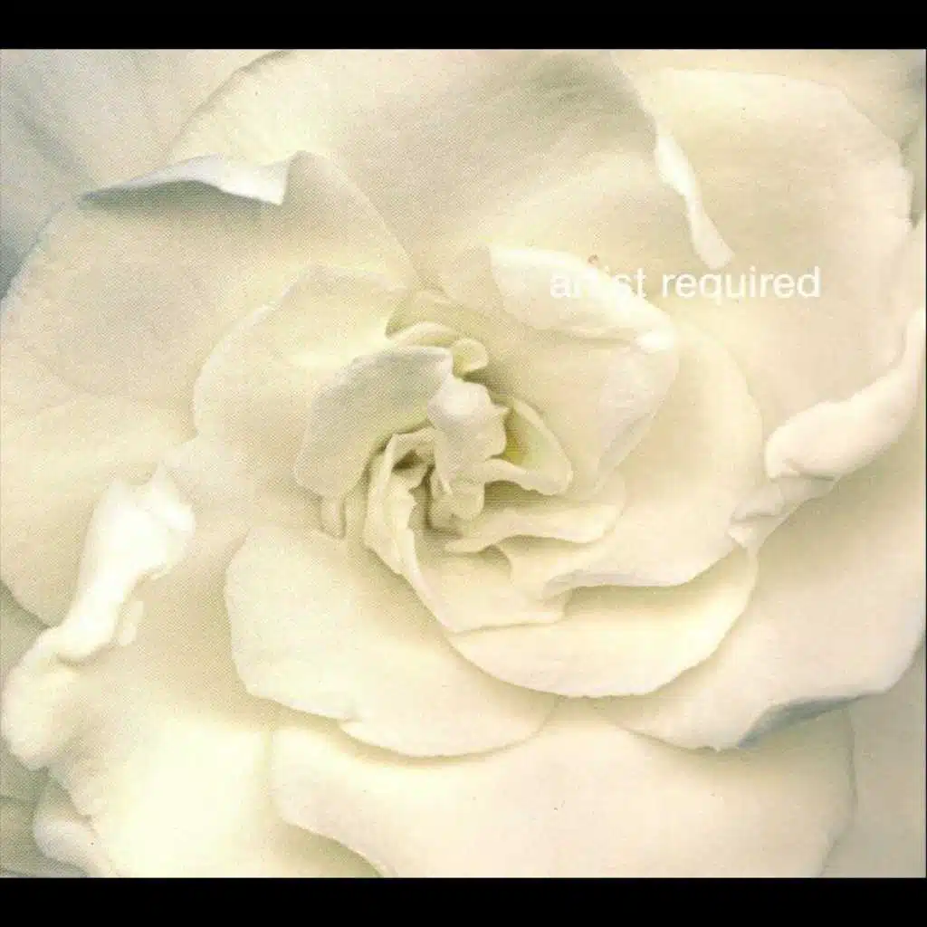 Artist Required Giordano Ladies Vol.4