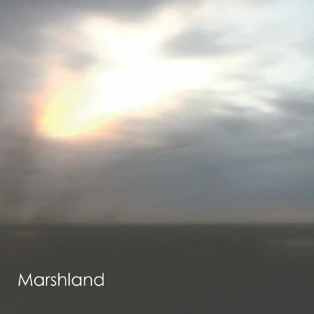 Marshland
