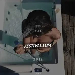 The Best of Festival EDM 2018