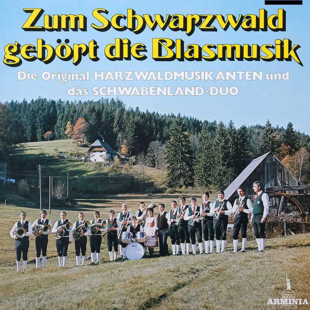 Original Harzwald-Musikanten & Schwabenland-Duo