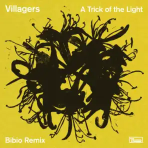 A Trick of the Light (Bibio Remix)