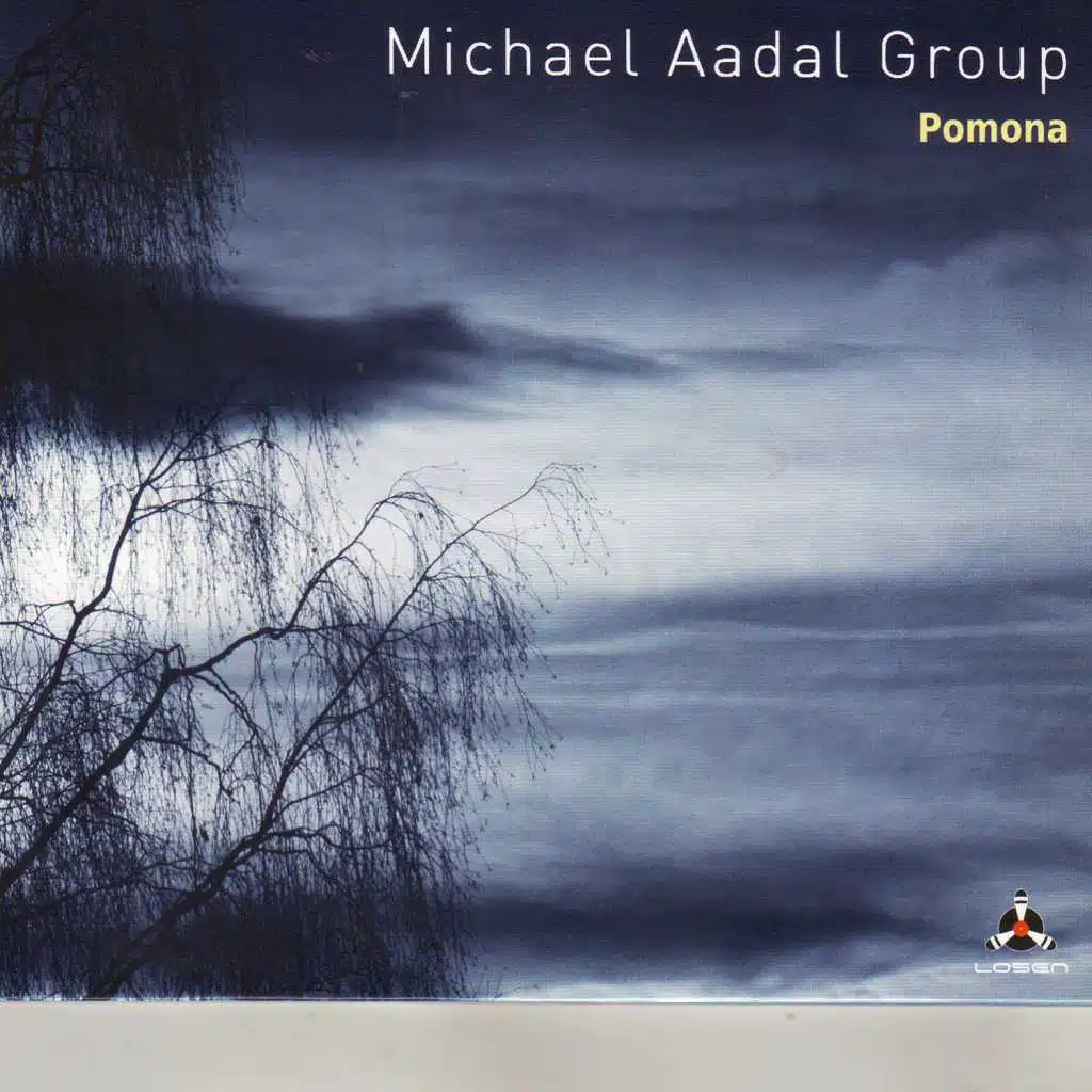 Michael Aadal Group