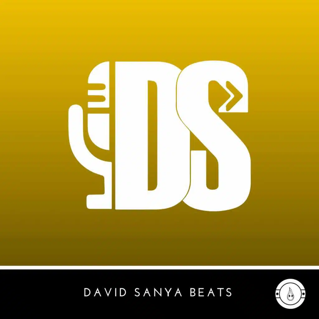 DavidSanyaBeats.com Vol. 3