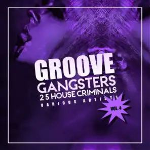 Groove Gangsters, Vol. 4 (25 House Criminals)
