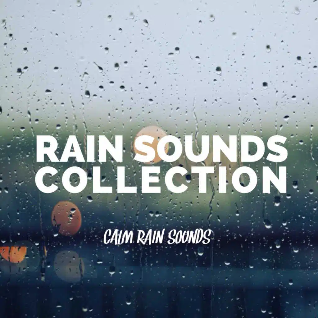 Calm Rain Sounds