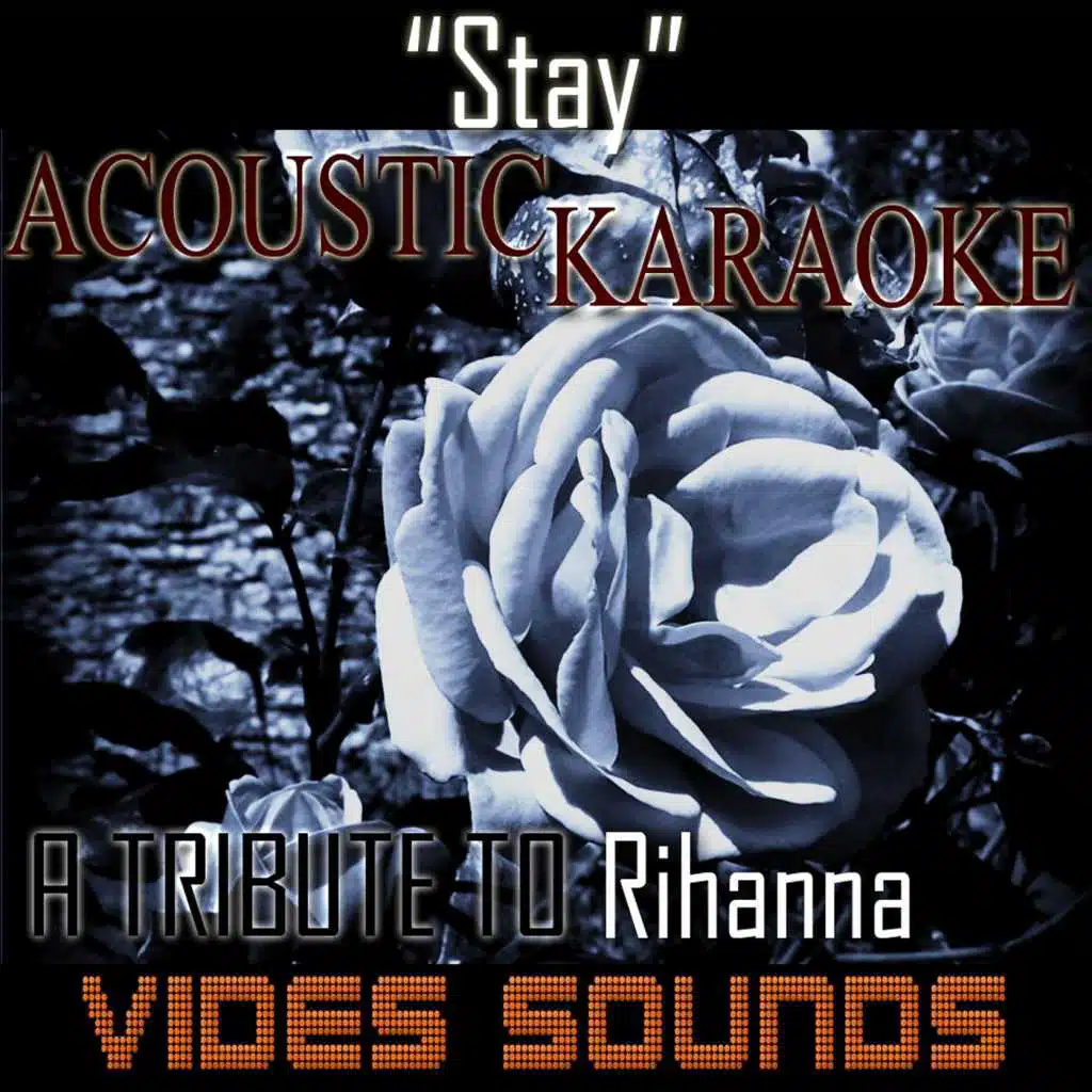 Stay (Acoustic Karaoke Version)
