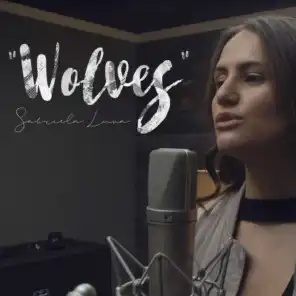 Wolves (feat. Selena Gomez & Marshmello)